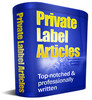 Thumbnail 15 Web Traffic And Search Engine PLR Articles