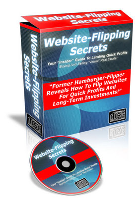 Product picture Website-Flipping Secrets: Buy And Sell Virtual Real Estate