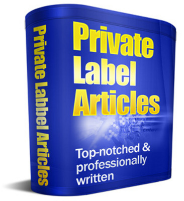 Product picture 15 Web Traffic And Search Engine PLR Articles
