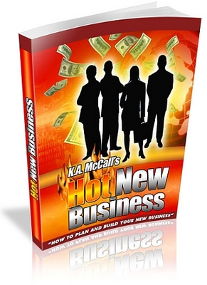 Product picture Hot New Business: How To Plan And Build A New Business (MRR)