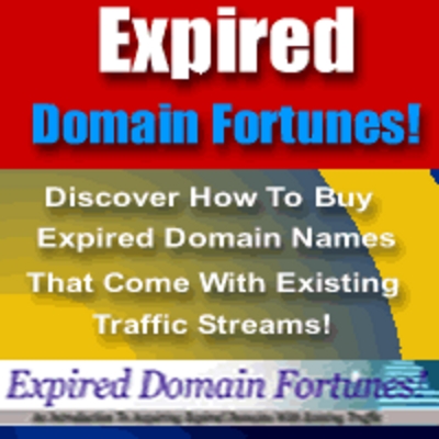 Product picture Expired Domain Fortunes: Buying Expired Domain Names  (MRR)